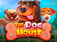 Red dog casino no deposit bonus codes 20233